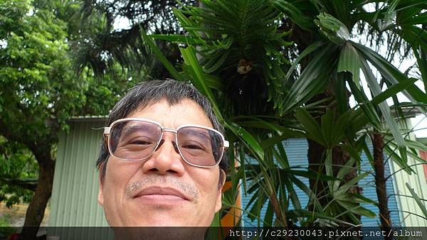 P1180142.JPG P1180142.JPG