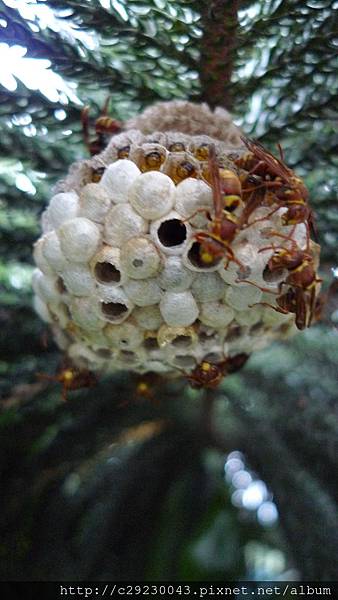 P1180143.JPG P1180143.JPG