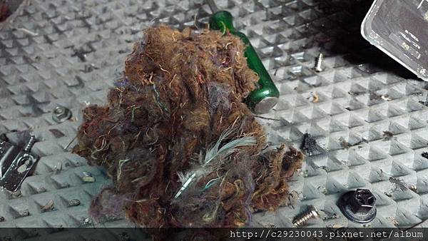 P1180147.JPG P1180147.JPG