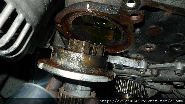 P1180494.JPG P1180494.JPG