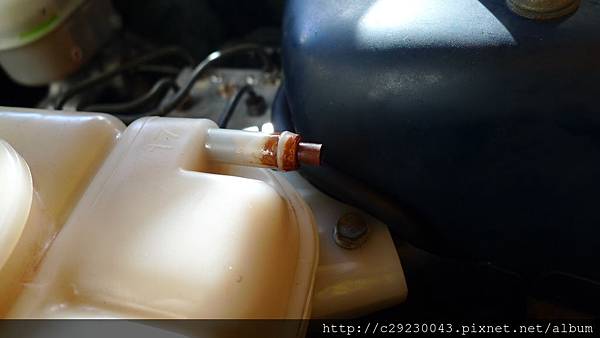 P1180519.JPG P1180519.JPG