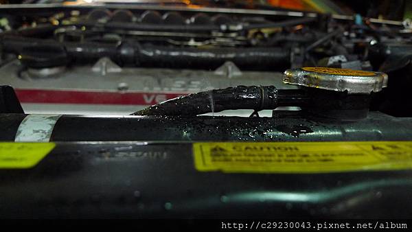 P1180690.JPG P1180690.JPG