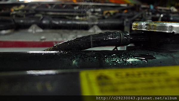 P1180691.JPG P1180691.JPG