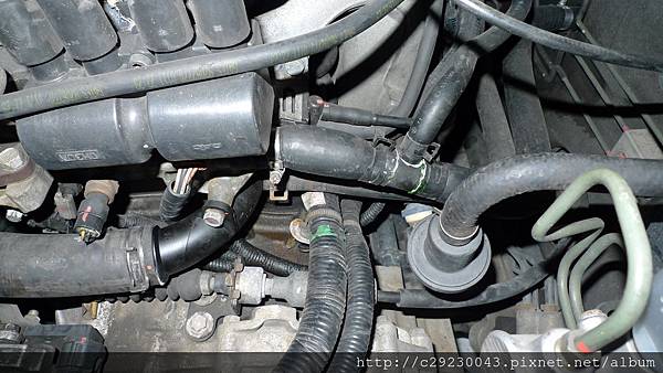 P1180708.JPG P1180708.JPG