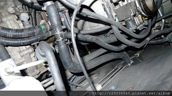 P1180709.JPG P1180709.JPG