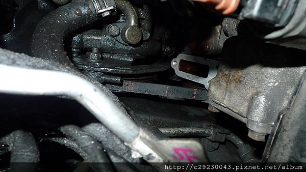 P1180831.JPG P1180831.JPG