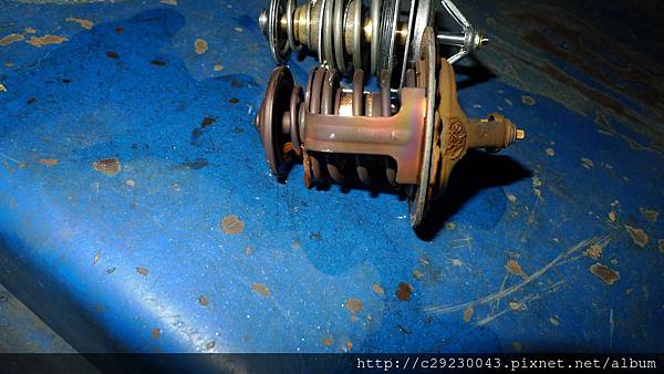 P1180835.JPG P1180835.JPG