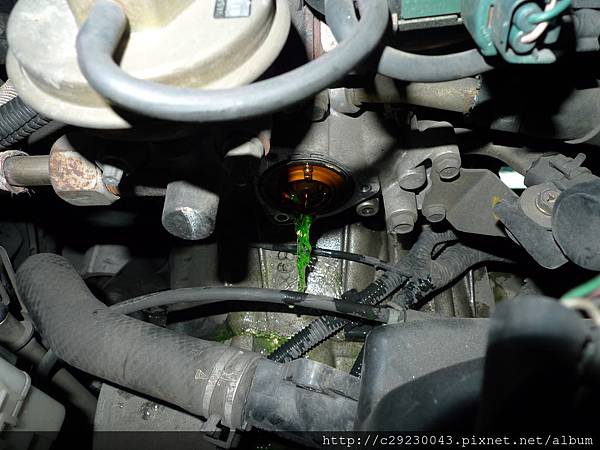 P1190450.JPG P1190450.JPG