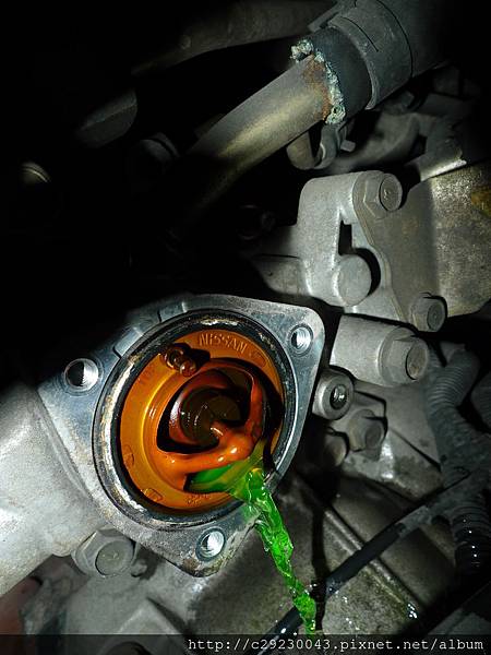 P1190451.JPG P1190451.JPG