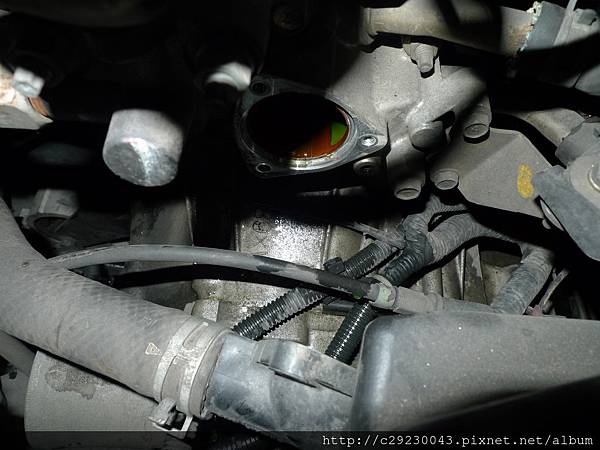 P1190454.JPG P1190454.JPG