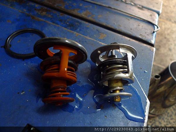 P1190456.JPG P1190456.JPG