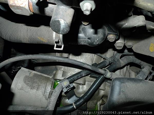 P1190467.JPG P1190467.JPG