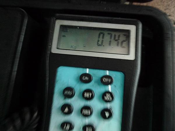 P1270059.JPG P1270059.JPG