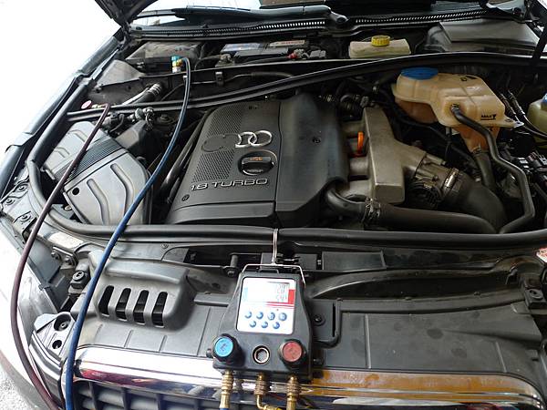 P1270073.JPG P1270073.JPG