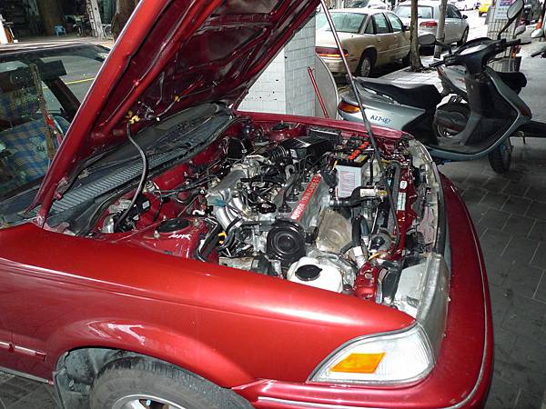 P1300041.JPG P1300041.JPG