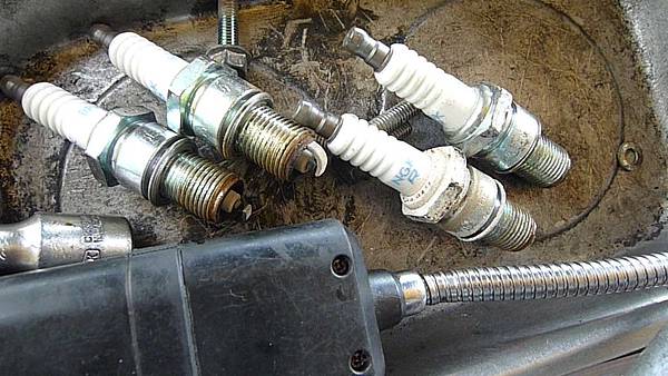 P1520256.JPG P1520256.JPG