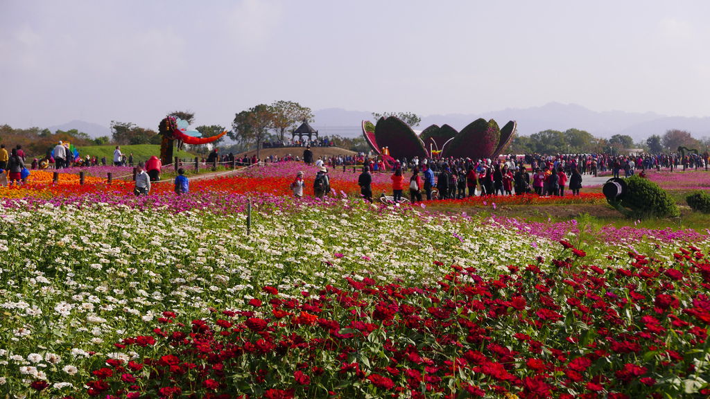 L1100214.JPG
