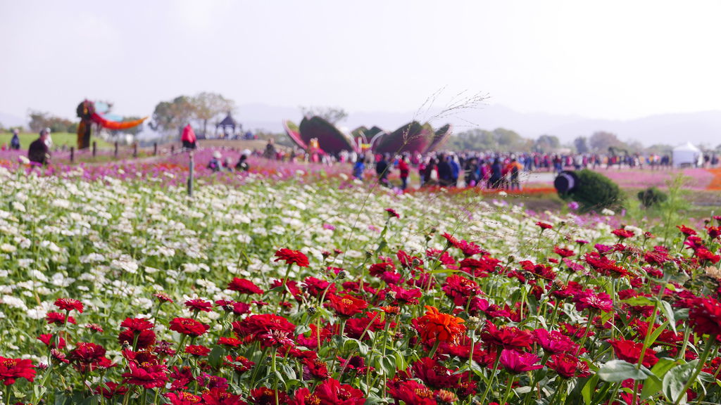 L1100215.JPG