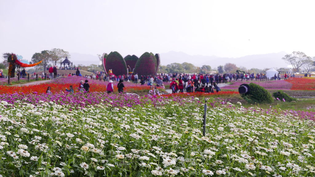 L1100216.JPG