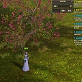 Aion0004.jpg