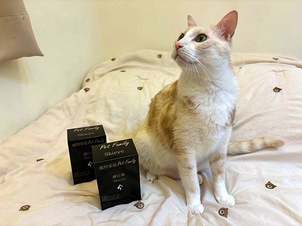 LINE_ALBUM_寵物家庭_240620_22