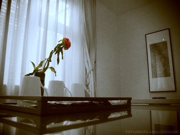 2012_03_20_01