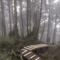 雲霧中的後山公園