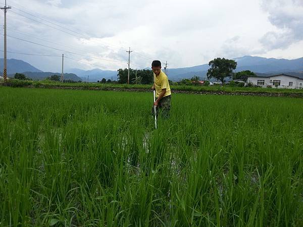 2013061010.jpg 2013061010.jpg