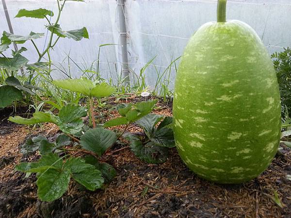 2013067373.jpg 2013067373.jpg