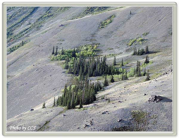 40 Alaska Hwy-YT1 Km1648.9