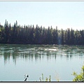 77 YT-4 Yukon River