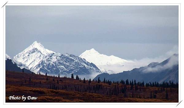 90 Denali NP-RdSideView2