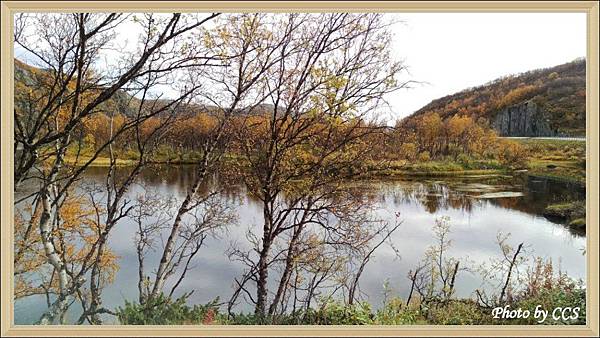 06 Adamsfjord Naturreservat.jpg