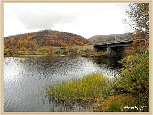 08 Adamsfjord Naturreservat.JPG