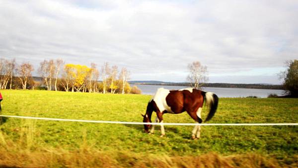 18 Svanvik Village Road.JPG