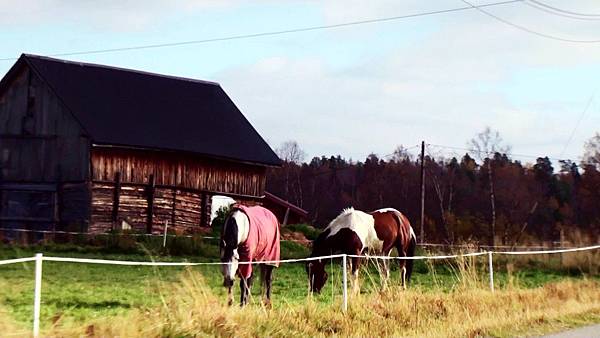 17 Svanvik Village Road.jpg