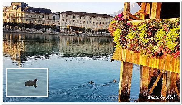 16 CH Luzern_Reuss Riverside.jpg