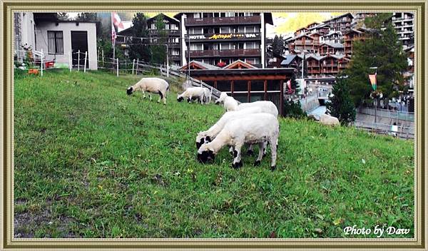 54 CH Zermatt-Hofmattstrasse.jpg