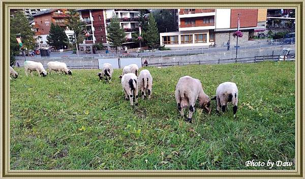 55 CH Zermatt-Hofmattstrasse.jpg