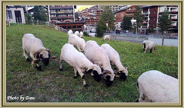 56 CH Zermatt-Hofmattstrasse.jpg