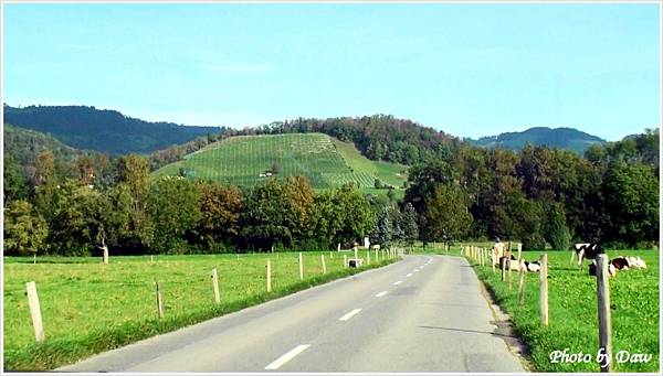 48 CH Kobelwiesstrasse_Oberriet.jpg