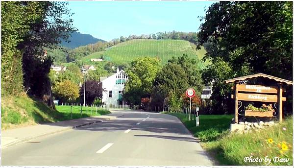 54 CH Oberrieterstrasse_Eichberg.jpg