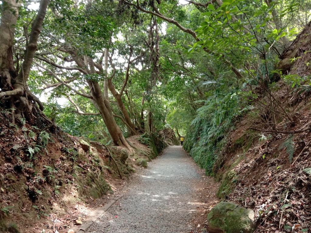 2020 0730台北士林天母古道水管步道010.jpg