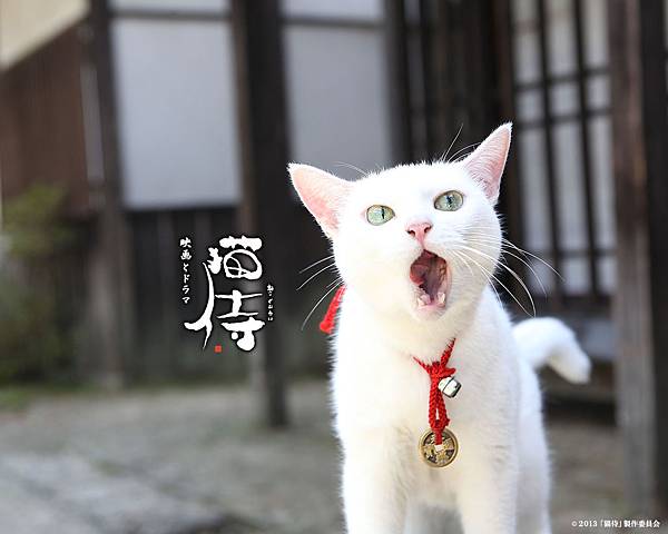 玉之丞.jpg