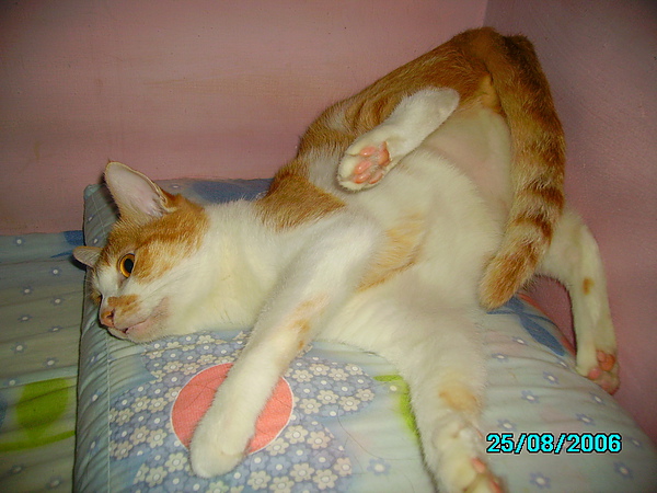 PICT0152.JPG