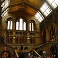 Natural History Museum (10)