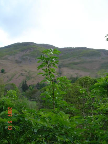 DSC06831