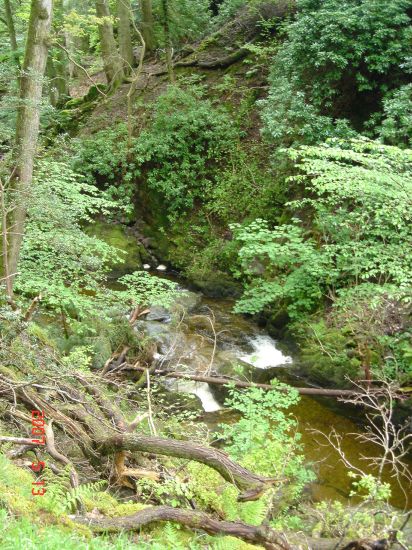 DSC06878