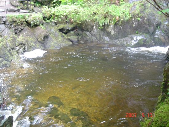 DSC06887