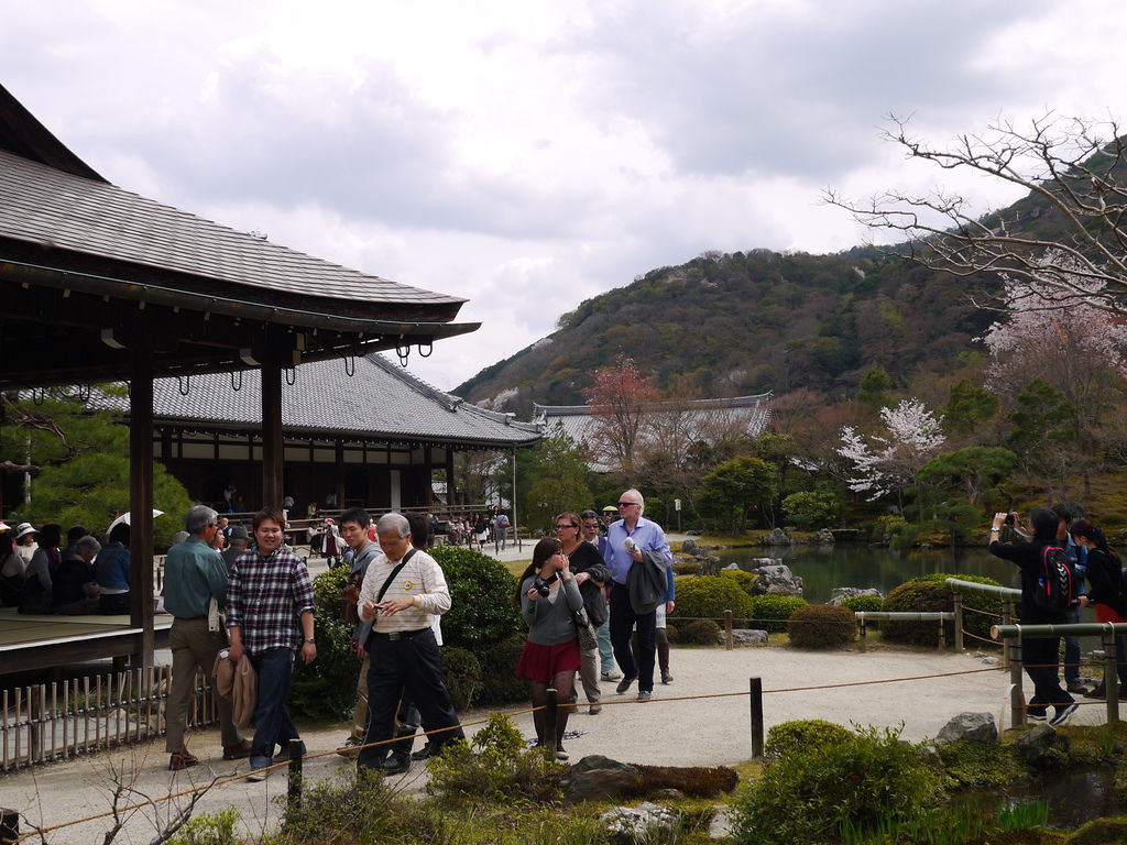 嵐山 藝妓回憶錄 竹林小徑 夢幻垂枝櫻天龍寺 野宮神社求姻緣御守 體驗源氏愛情物語 娜娜鐵腿趣 痞客邦
